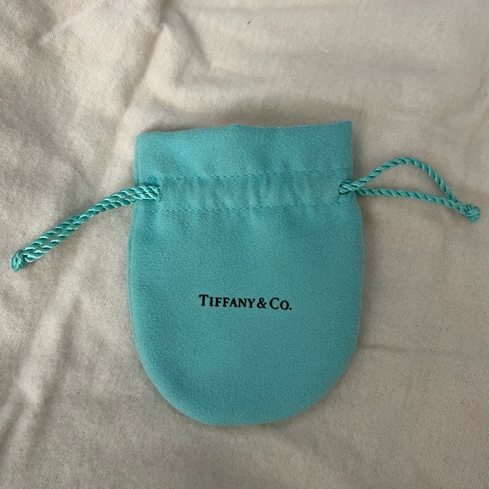 Tiffany & Co Jewelry dust bag